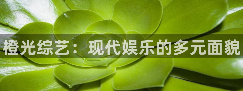 jdb电子超级大奖：橙光综艺：现代娱乐的多元面貌