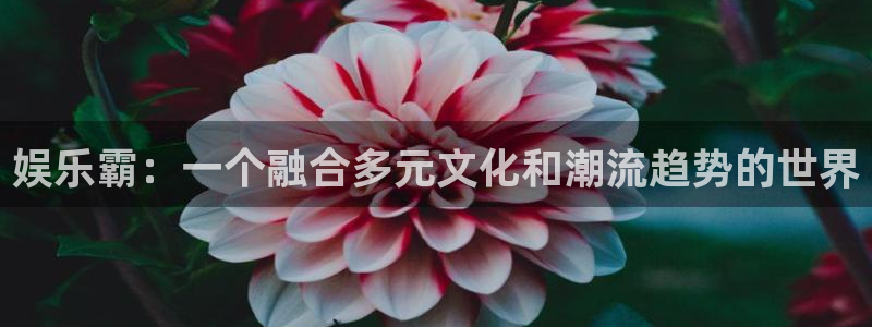 jdb电子游戏平台：娱乐霸：一个融合多元文化和潮流趋势的世界