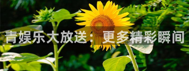 jdb电子超级大奖：青娱乐大放送：更多精彩瞬间